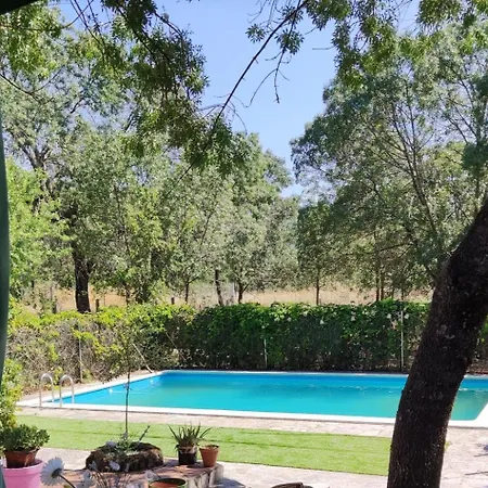 Vinas Perdidas * Béjar