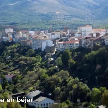 Vinas Perdidas * Béjar