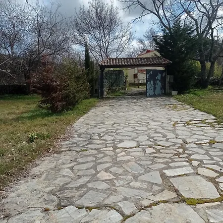 Vinas Perdidas * Béjar