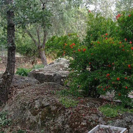 Vinas Perdidas Hébergement de vacances