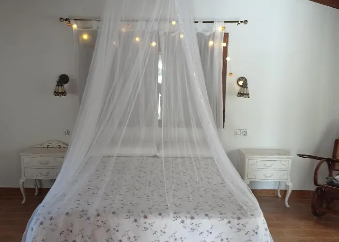 Vinas Perdidas * Béjar