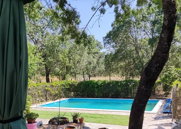 Vinas Perdidas * Béjar