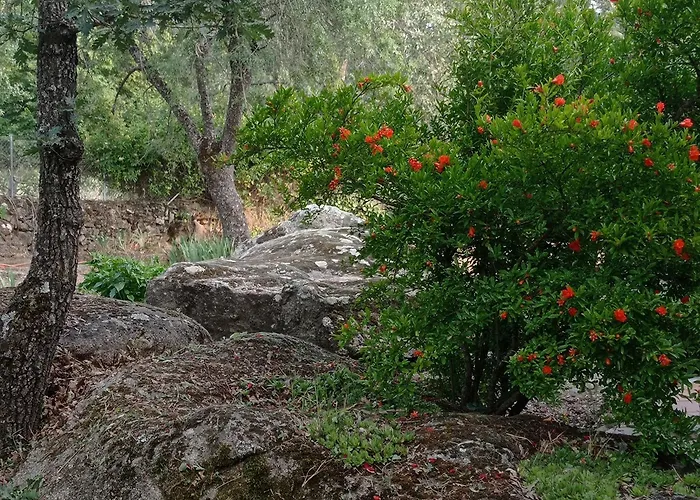 Vinas Perdidas Ferienhaus